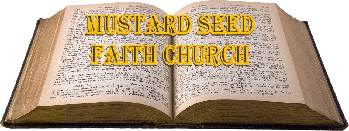 Mustard Seed Faith Church